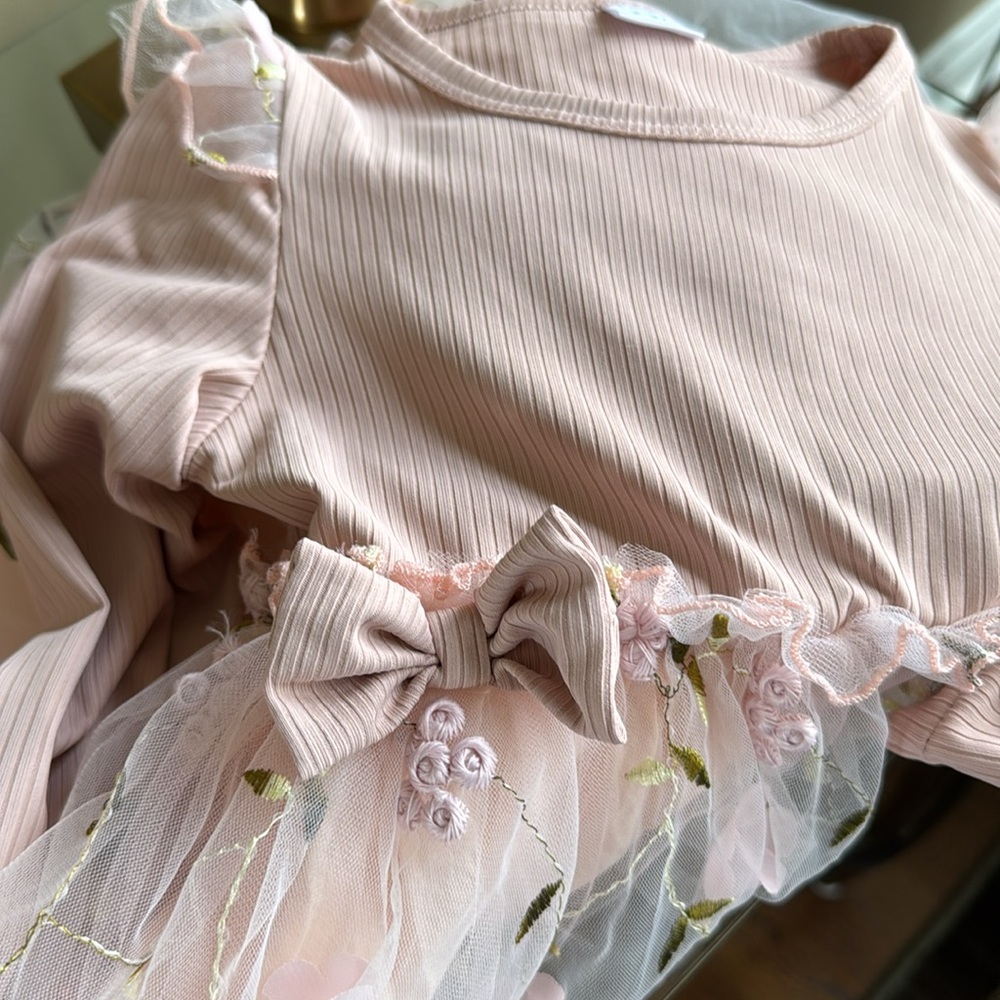 Dressy Dress - Sz 2/3T Girls Embroidered Floral Long Sleeve Dress W/Tulle